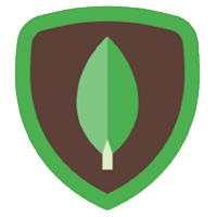 best web development company